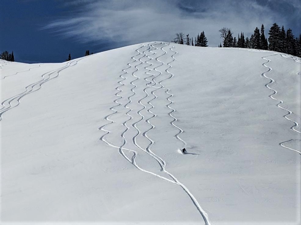 Into the Cold: Training for Backcountry Skiing