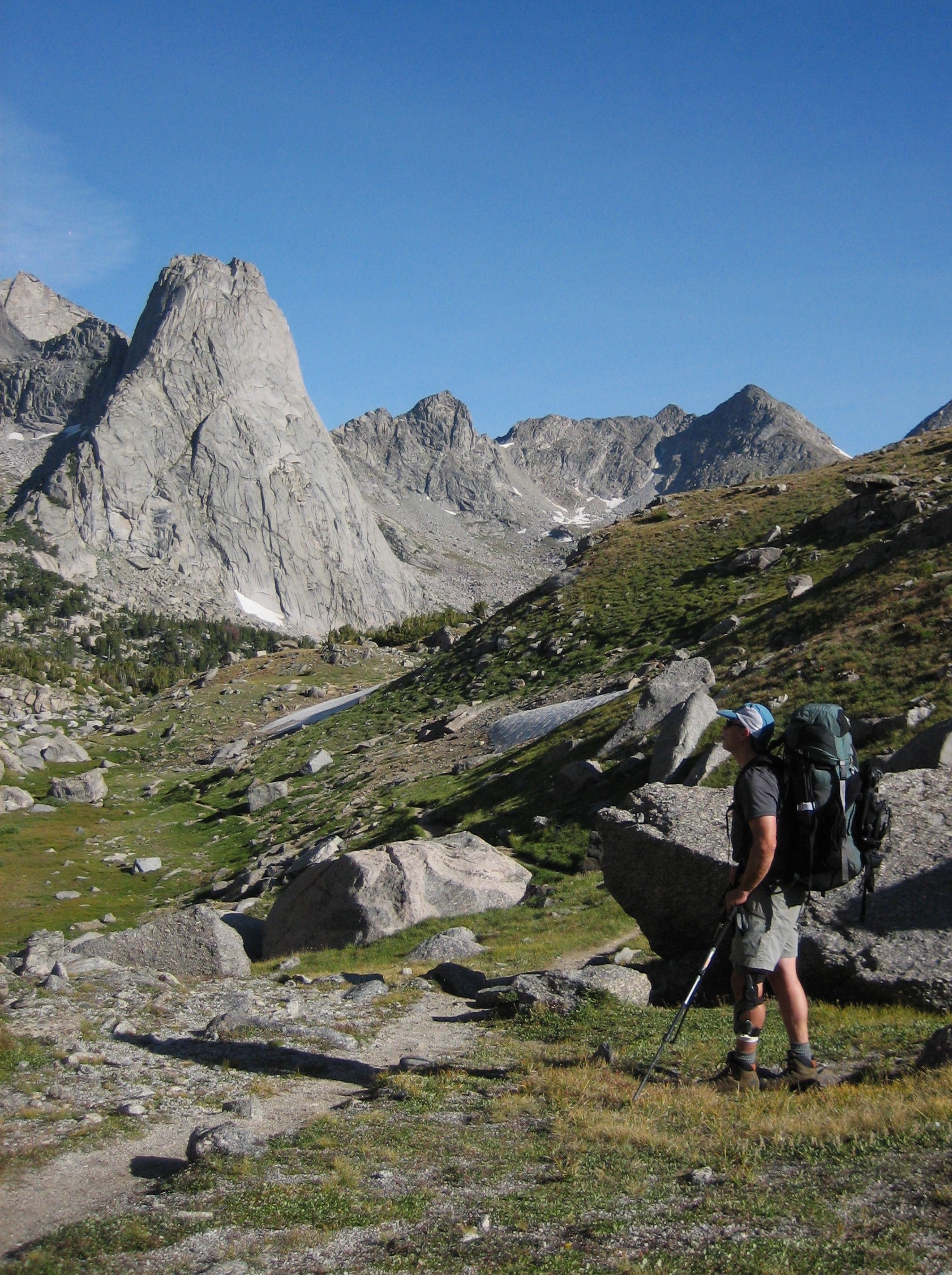 Pain: The Body’s Call to Action