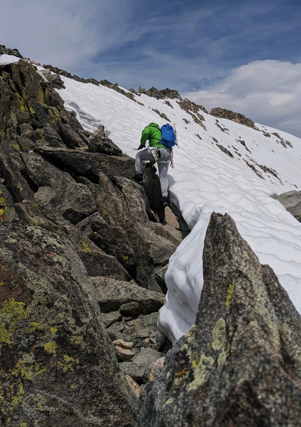 Are You Getting Enough Protein in your Diet?