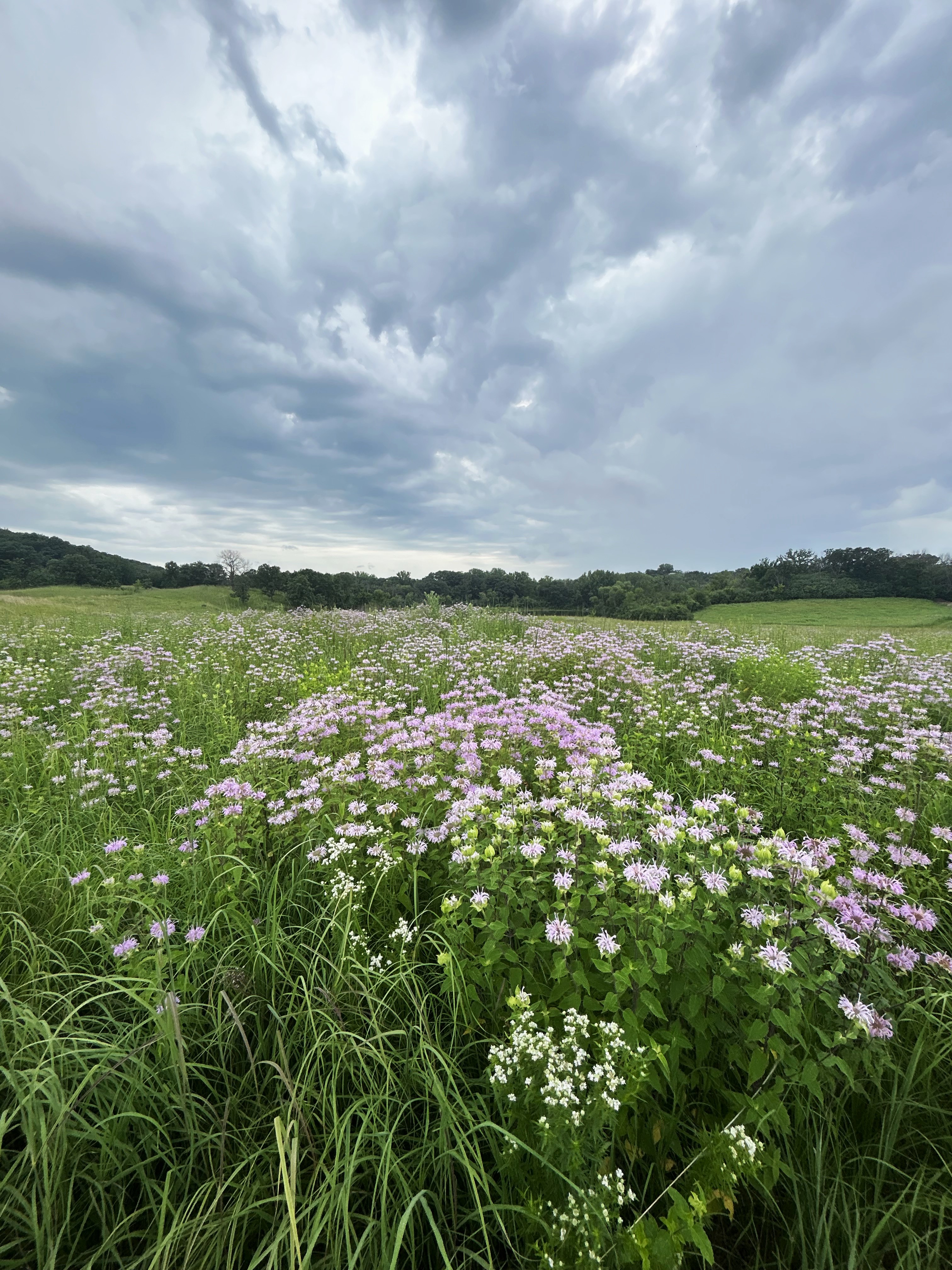 Tapering for Nationals: a Metaphor for Life